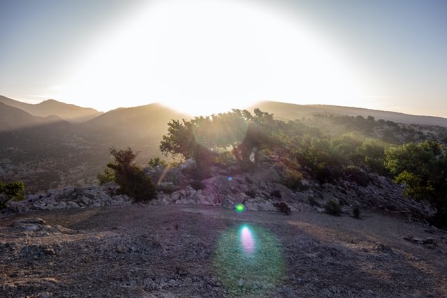 árboles de argán y la Meseta de montaña Souss-Massa, Marruecos