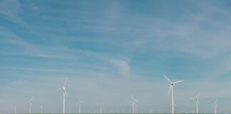 Turbinas de viento en una granja en el parque eólico de Roscoe, Estados Unidos