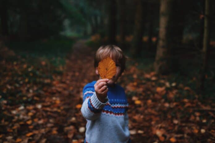 Niño en el bosque