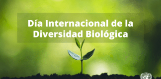 Día Internacional de la Diversidad Biológica