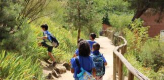 Participantes en las actividades del MNCN