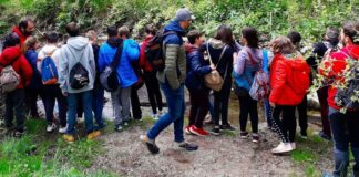 reserva de la biosfera de montseny españa