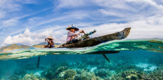 Ganador del concurso fotográfico del Día Mundial de los Océanos de la ONU 2021