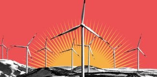 Molinos-clima-ONU