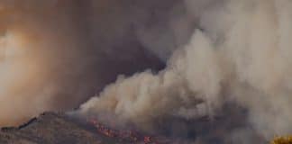 Incendio forestal