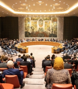 Security Council