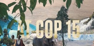 COP15, visual
