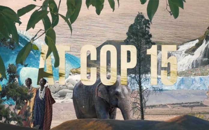COP15, visual