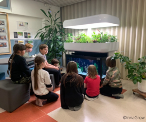 Aquaponics