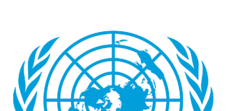 UN Logo