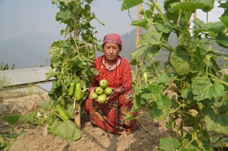 Patali Maya Tamang tuottaa kauden vihanneksia omalla maallaan. ©Rojita Mishra/FAO