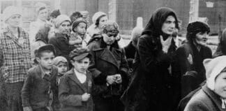 Natsi-SS:n kuolemaan valitsemia juutalaisnaisia ja -lapsia Karpaatto-Ukrainasta (Subcarpathian Rus) matkalla kohti Auschwitz-Birkenaun natsien keskitys- ja tuhoamisleirin kaasukammioita (1940–1945). Kuva: United States Holocaust Memorial Museum, courtesy of Yad Vashem (Public Domain).