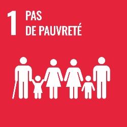 objectifs developpement durable, objectif 1, icone