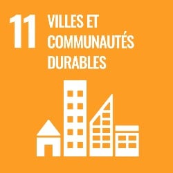 objectifs developpement durable, objectif 11, icone