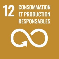 objectifs developpement durable, objectif 12, icone