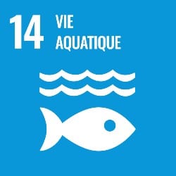 objectifs developpement durable, objectif 14, icone