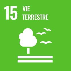 objectifs developpement durable, objectif 15, icone