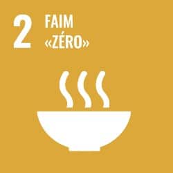 objectifs developpement durable, objectif 2, icone