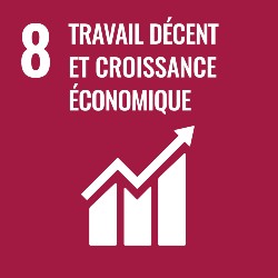 objectifs developpement durable, objectif 8, icone