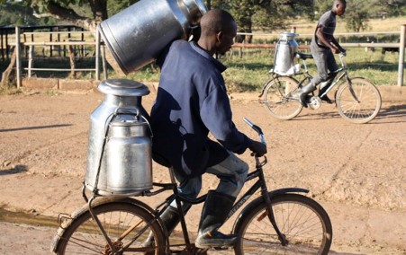 velo-buffalo-journee-bicyclette