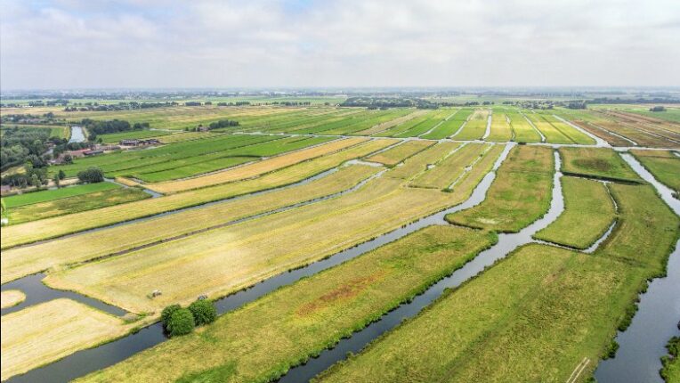 Paysage Pays-Bas vert