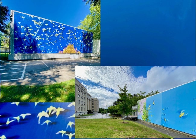 oiseau_bleu_geneve