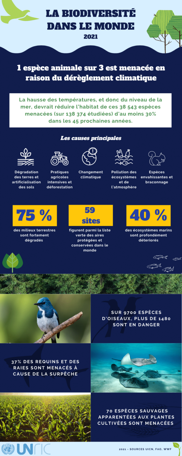 Infographie sur l’état de la biodiversité dans le monde, des engagements mondiaux sont nécessaires