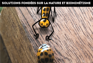 Le personnage Elyx se fond dans la nature grâce au biomimétisme