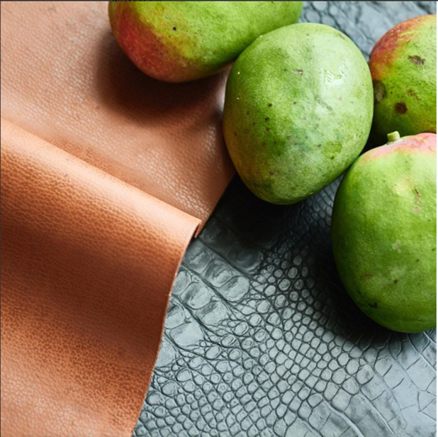 Cuir à base de mangue