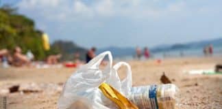 World clean up day : une place de concert contre un déchet déchets abandonnés sur une plage