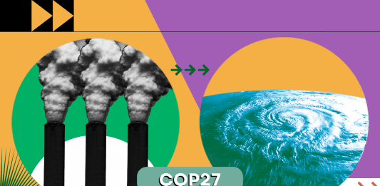 COP – ONU France