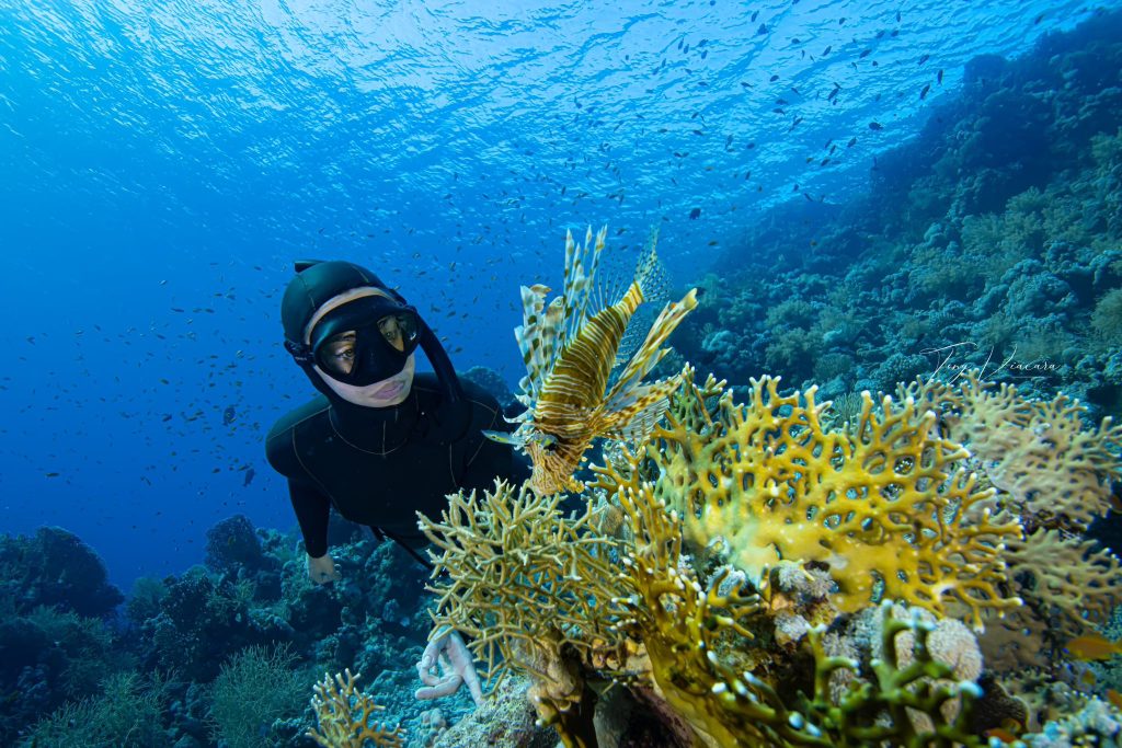 Plongeuse face à du corail