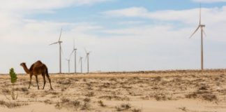 COP26: Nýjar skuldbindingar nægja ekki til að ná markmiðum Parísarsamningsins Loftslasgbreytingar.