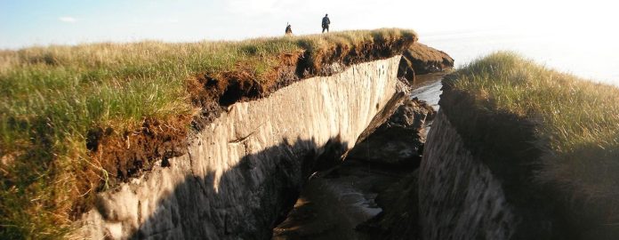 image1440x560cropped-1
