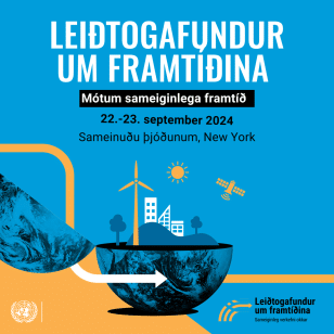Leiðtogfundur um framtíðina