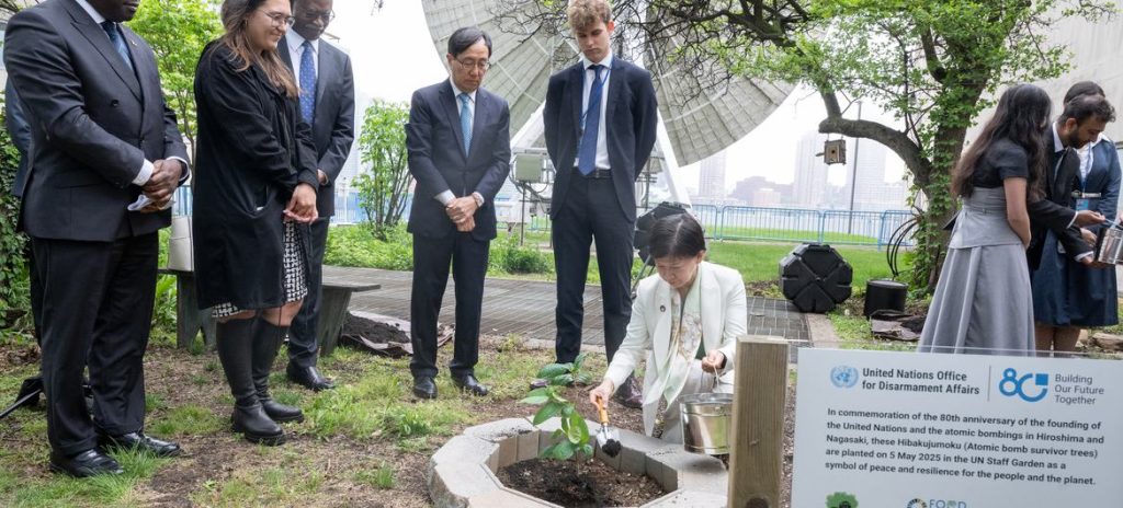 Izumi Nakamitsu afvopnunarstjóri Sameinuðu þjóðanna plantar tré við höfuðstöðvar Sameinuðu þjóðanna í New York til minningar um áttatíu ára afmæli kjarnorkuárásanna á Hiroshima og Nagasaki. Mynd: UN Photo/Eskinder Debebe