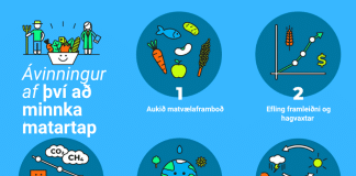 Alþjóðlegur dagur vitundar um matarsóun
