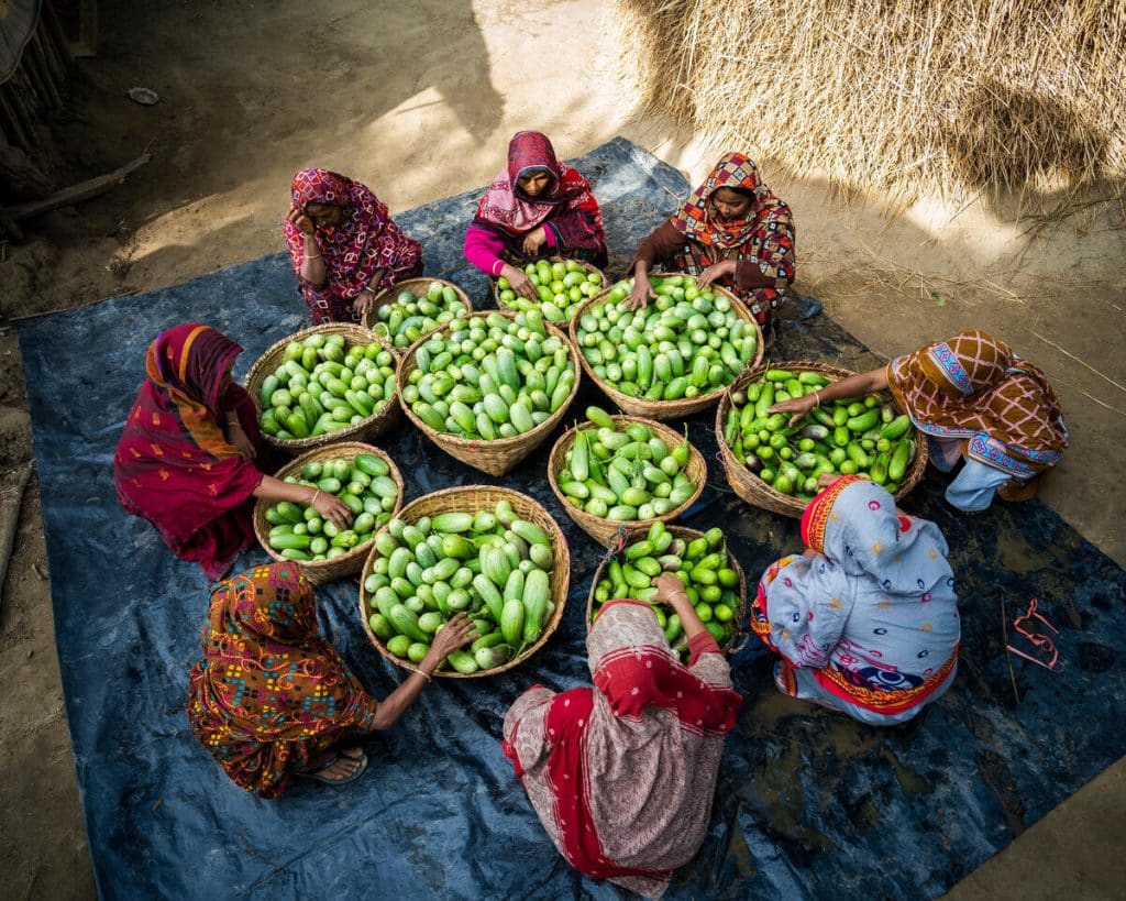 Konur á námskeiði um fæðuöryggi flokka nýtínd eggaldin í Cox’s Bazar í Bangladess. © WFP/Sayed Asif Mahmud