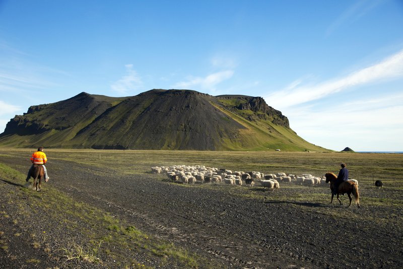 Fé smalað.