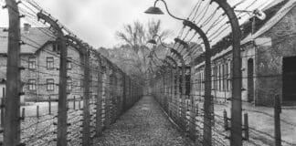 Auschwitz
