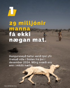 Borgarastríðið í Súdan