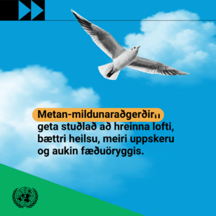 Metan