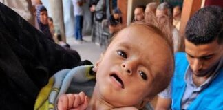 Árásir Ísraels á nýbura- og mæðraverndarstöðvar á Gaza hafa haft bein áhrif á lífslíkur nýbura og framtíð æxlunar Palestínumanna. © 2025 UNRWA