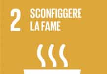 SDG 2 SCONFIGGERE LA FAME