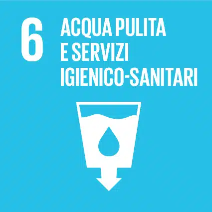 GOAL6