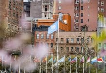 UN View & Flag