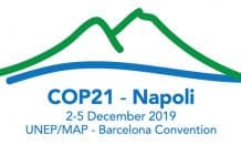 cop 21 BANNER