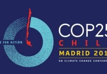 logo cop25