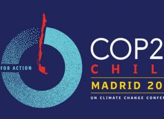 logo cop25