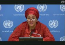 Deputy Secretary General